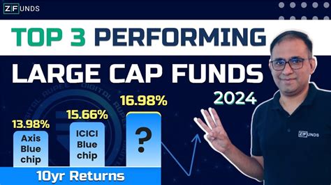 mega cap mutual funds.